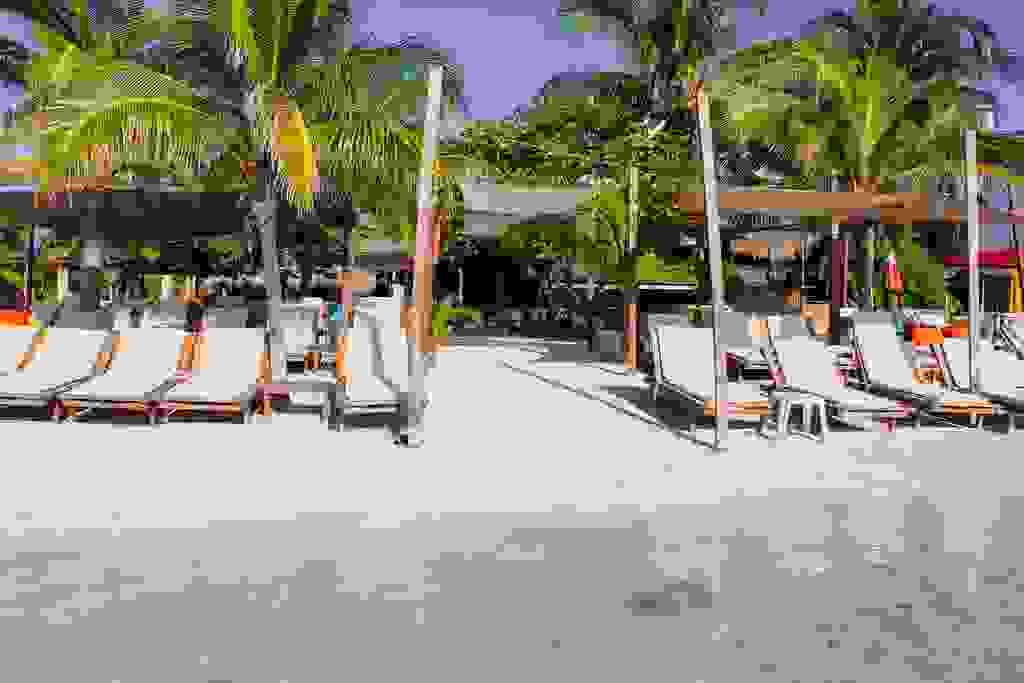 Pez Quadro Beach Break In Paradise Beach Club