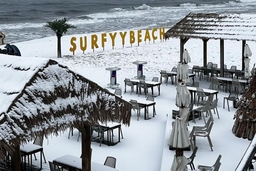 Surfyy Beach Logo
